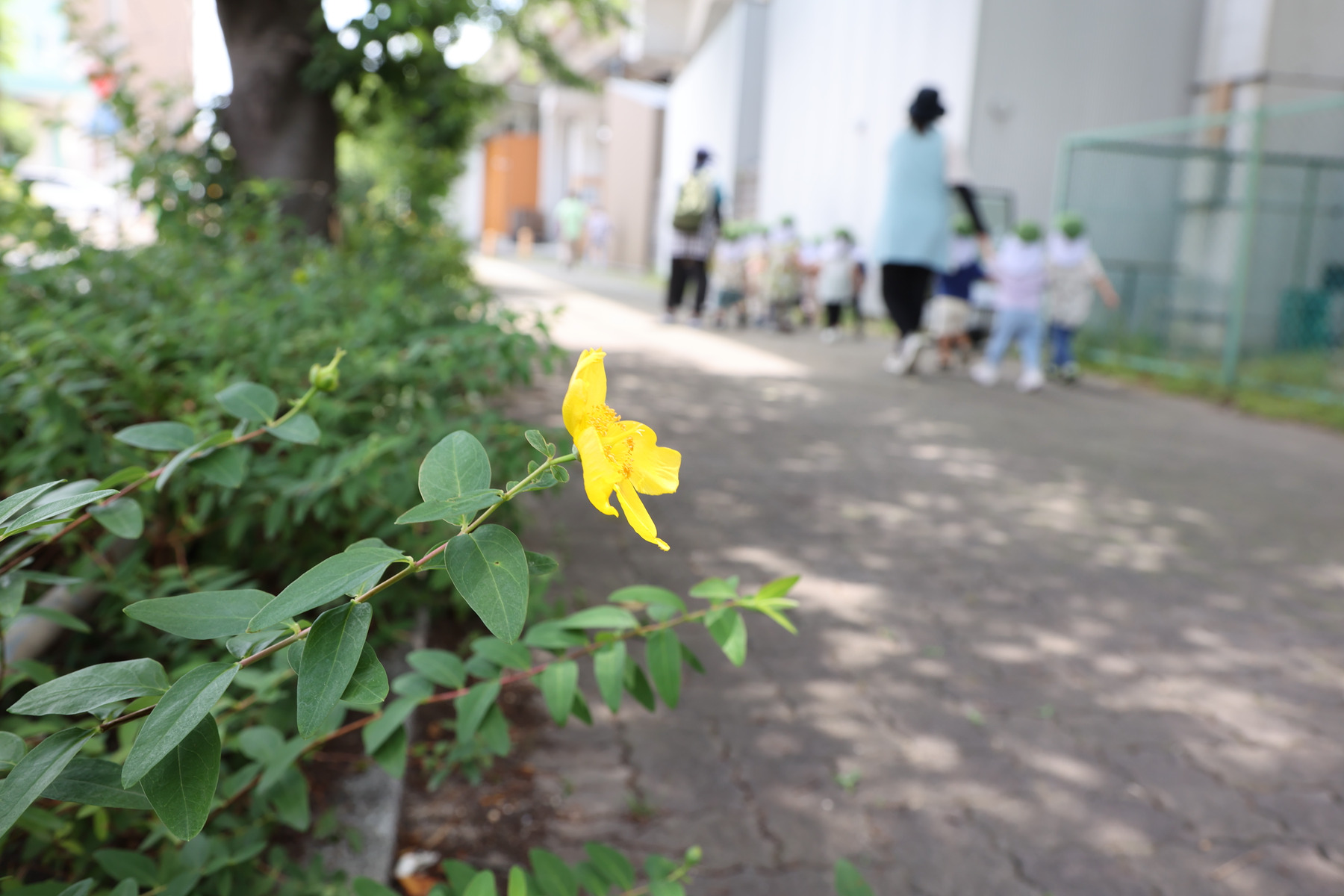 社会福祉法人幸生会